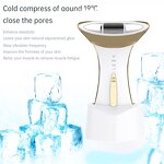 RF EMS Facial Massager - Home Use Red Light LED Photon Anti-Aging Face Neck Lifting