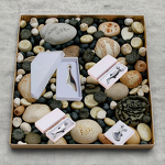 Massage Scraping Stick - Dolphin Gift Box - Essential Oil Whole Body Acupoints Dredging