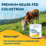 Bovine Colostrum Powder Factory - OEM Private Label Bovine Colostrum Powder for Immune and Gut Health Milk Supplement