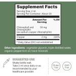 Detox Drops Factory - Chlorophyll Drops OEM Private Label for Organic Detoxification Immune Support for Adults