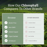 Detox Drops Factory - Chlorophyll Drops OEM Private Label for Organic Detoxification Immune Support for Adults