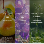 Victoria Women's Body Spray - Manufacturer - 250ML Fragrance Bodymist Wholesale High Quality