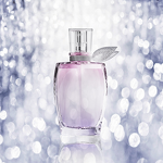 Victoria Women's Body Spray - Manufacturer - 250ML Fragrance Bodymist Wholesale High Quality