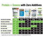 Vegan Protein Powder Manufacturer - Unflavored Organic Vegan Protein Powder Pure Green Plant Based Muscle Gain Powder