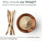 Herbal Gummies Manufacturer - OEM/ODM 10-in-1 Herbal Gummies with Sea Moss Shilajit Ashwagandha Memory Energy