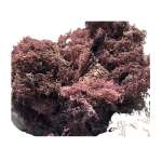 手工海苔-高端私标代工生产