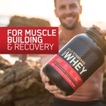 Whey Protein Powder Manufacturer - Optimum Gold Standard 100% Chocolate Bulk Whey Protein Powder Sports Nutrition