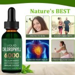 免疫促进滴剂生产商-贴牌批量免疫促进能量补充剂天然叶绿素滴剂