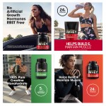 Whey Protein Powder Manufacturer - 100% Real Bulk Whey Protein Powder Isolate Bulk Gold Standard Whey Logo Packaging