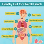 Women's Probiotics Manufacturer - Hot Sale Private Label Womens Probiotics Capsule 50 Billion CFU 16 Strains