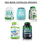 Sea Moss Supplier Factory - Organic Vegan Immune Support Sea Moss Supplier Seamoss Capsules Private Label