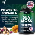 Sea Moss Supplier Factory - Organic Vegan Immune Support Sea Moss Supplier Seamoss Capsules Private Label