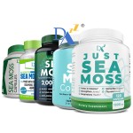 Sea Moss Supplier Factory - Organic Vegan Immune Support Sea Moss Supplier Seamoss Capsules Private Label