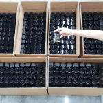 水果蔬菜胶囊生产商-90粒水果蔬菜胶囊日常补充剂维生素膳食纤维