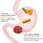 Women's Probiotics Manufacturer - Hot Sale Private Label Womens Probiotics Capsule 50 Billion CFU 16 Strains