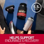 Whey Protein Powder Manufacturer - Optimum Gold Standard 100% Chocolate Bulk Whey Protein Powder Sports Nutrition