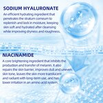 Facial Cleanser Manufacturer - Private Label Hyaluronic Acid Niacinamide Foam