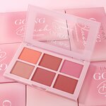 Blush Powder Palette Manufacturer - 6 Color Vegan Ultra-soft Natural Matte
