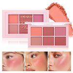 Blush Powder Palette Manufacturer - 6 Color Vegan Ultra-soft Natural Matte