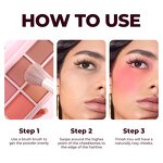 Blush Powder Palette Manufacturer - 6 Color Vegan Ultra-soft Natural Matte