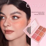Blush Powder Palette Manufacturer - 6 Color Vegan Ultra-soft Natural Matte