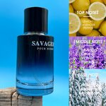 Men's Big Brand Perfume - Manufacturer - 50ml Wild Original Flavor Long Lasting Body Fragrance