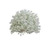 Baby's Breath Ball Manufacturer Path Guide