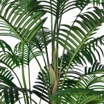 Chrysalidocarpus Potted Plant Manufacturer I Design