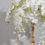 Butterfly Orchid Ball Factory Display Window