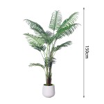 Chrysalidocarpus Potted Plant Manufacturer I Design