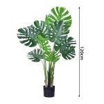 Turtle Shell Leaf Potted Plant Manufacturer M Design