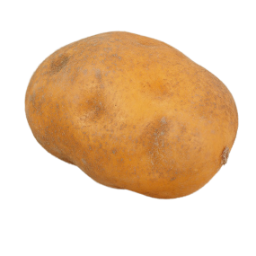 Vegetable Set Manufacturer Potato Garlic Wedding Decoration