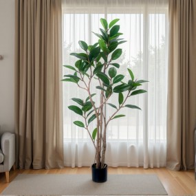 橡胶无花果树盆栽植物工厂K设计