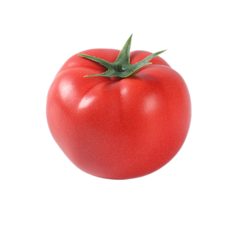 Corn Tomato Model Factory Educational Photography Props