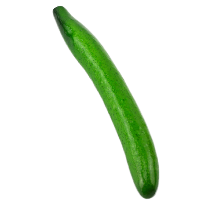 Vegetable Models Manufacturer Cucumber Bitter Gourd Props