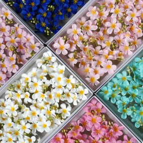 鸡蛋花皂花工厂生日礼物