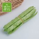 Zucchini Bean Sprouts Model Factory Photography Props