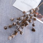 Christmas Decoration Factory Pine Branches Dried Fruit