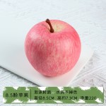 Fuji Apple Model Manufacturer Education Decoration Props