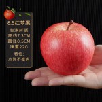Fuji Apple Model Manufacturer Education Decoration Props
