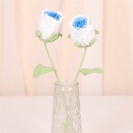 Gradient Roselle Bouquet Factory Christmas Gift