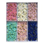 Frangipani Soap Flower Factory Birthday Gift