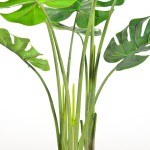 Turtle Shell Leaf Potted Plant Manufacturer M Design