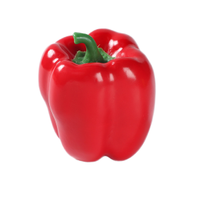 Vegetable Model Manufacturer Faux Chili Educational Toys