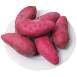 Purple Sweet Potato Model Factory Window Display Decoration
