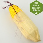 Corn Tomato Model Factory Educational Photography Props