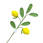 Knitted Fruit Flower Manufacturer Crochet Gift