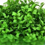 Lovegrass Ball Manufacturer Mall Decoration