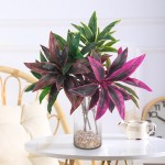 Brazilwood Potted Plant Factory Single Branch