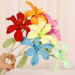 Gradient Roselle Bouquet Factory Christmas Gift
